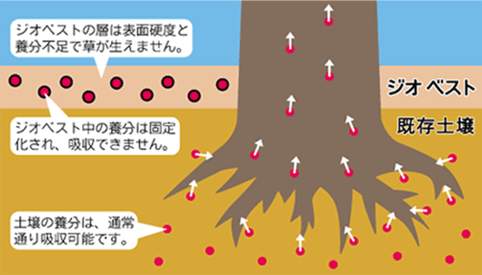 防草処理